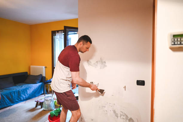 Best Residential Mold Remediation in Beaufort, SC